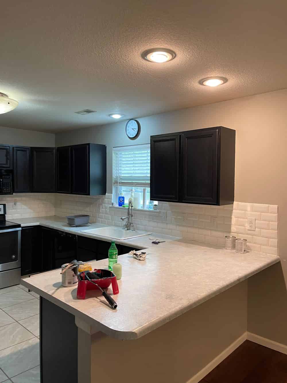 Painting Services image